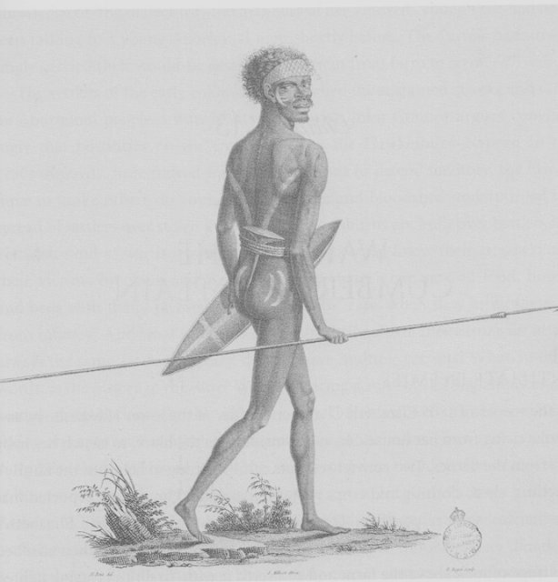 1802 Warrior Norougalderri, armed with spear, shield & club. SLNSW.jpg